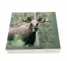 Villmarksserien Servietter med elg, rype, reinsdyr og tiur thumbnail